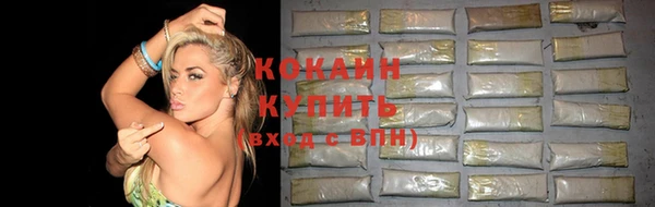 ешки Арсеньев