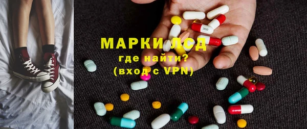 сатива Каменногорск