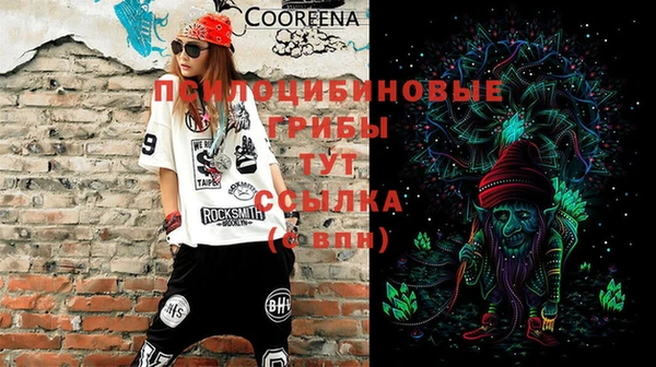 винт Новозыбков