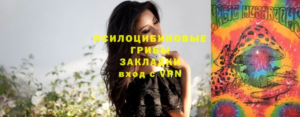 ешки Арсеньев