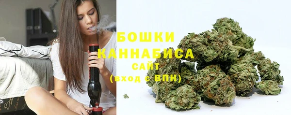 амф Аркадак