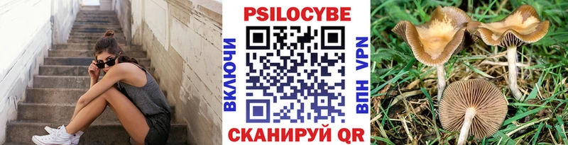 Псилоцибиновые грибы мицелий магазин продажи Бабаево