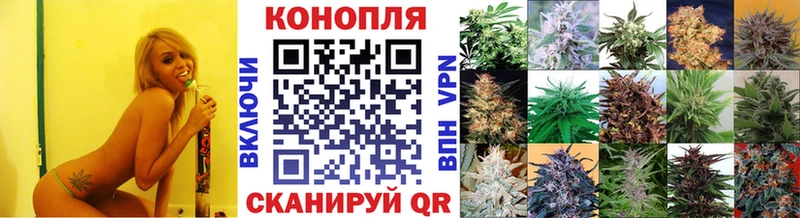 Бошки Шишки марихуана  Бабаево 
